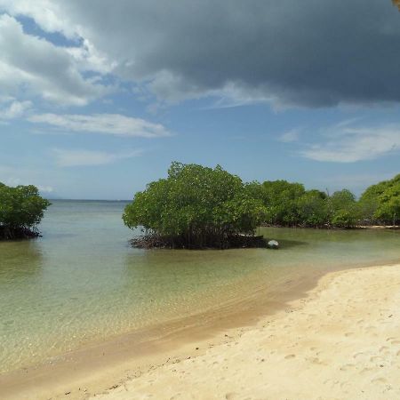 Mangrove Paradise Retreat レンボンガン島 エクステリア 写真