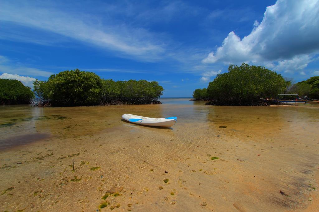 Mangrove Paradise Retreat レンボンガン島 エクステリア 写真