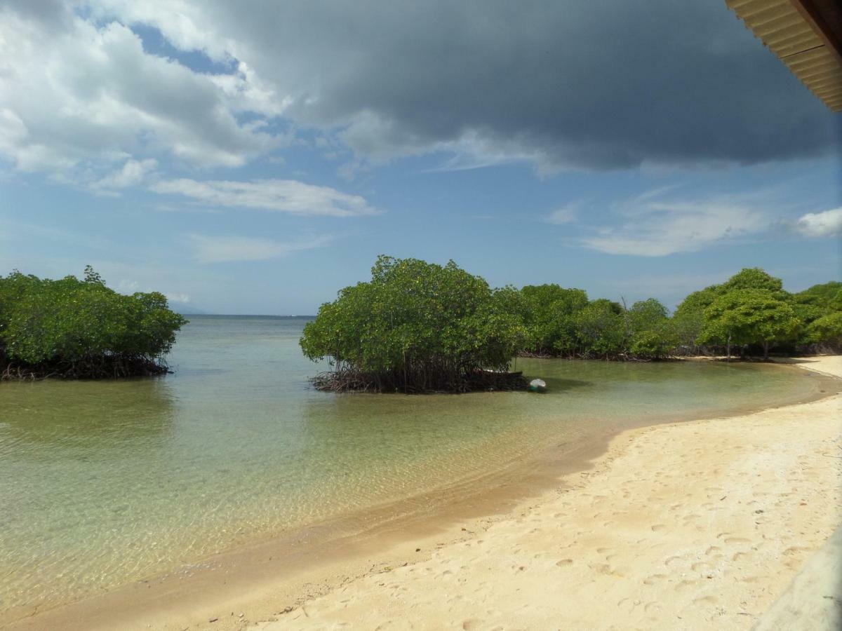 Mangrove Paradise Retreat レンボンガン島 エクステリア 写真